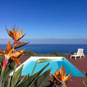 Dragos Del Mar , Espacio Natural , La Orotava Espagne